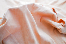 画像をギャラリービューアに読み込む, 鉄朱色(てつしゅいろ)