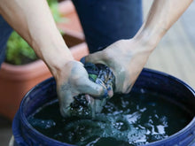 画像をギャラリービューアに読み込む, 藍色(あいいろ)